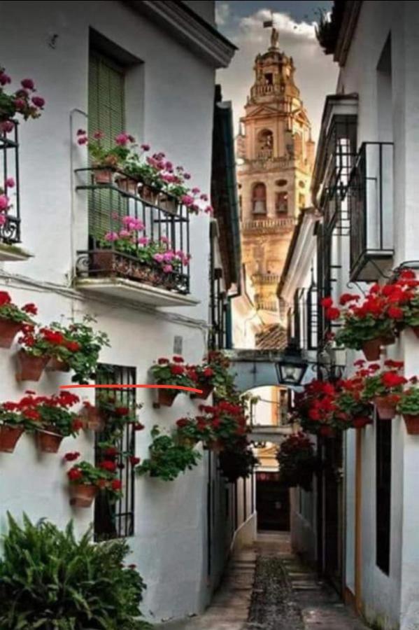 Apartamento La Magdalena Córdoba Exterior foto